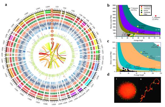 Decoding the First Shrimp Genome: A Resource of Functional Genomics and Genome Breeding for Penaeid Shrimp